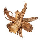 Plum Dragon Angelica Root | Dang GUI Sliced Whole Root Chinese Herb| Dong Quai | Chinese Angelica | Angelica Sinensis - Bulk Chinese Herb (1 Oz)