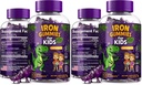 Iron Dinosaur Gummies for Kids with Vitamin C | Sugar-Free, Vegan, Gluten-Free & Non-GMO | Anemia Relief, Energy & Blood Health Support | Grape Flavor, Pectin-Based for Optimal Health (Pack of 2)