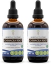 Echinacea Root USDA orgaaniline tinktuur | Alkoholivaba ekstrakt, suure tugevusega taimetilgad, immuunsüsteemi tervis | Valmistatud 100% sertifitseeritud orgaanilisest Echinacea juurest (Echinacea Purpurea) 2x4 oz