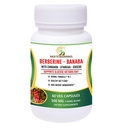 BB Back to Beginnings Berberine Supplement 500 Mg, 60 Veg Caps