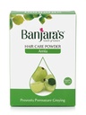 Amla Hair Care Powder 100g, Pack of 2