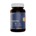 Probiotics with Prebiotics | 55 Billion CFU | 12 Clinically Studied Strains | LactoSpore®, DE111®, S. Boulardii, LGG | Livaux® Gold Kiwi Prebiotic | 60 Veg Delayed-Release Capsules