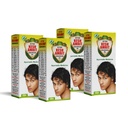 I Action Kesh Amrit Ganjnashk Oil I Legacy of Ayurveda I Ayurvedic Medicine I GMP Certified Company I 100 ML (Pack of 4)