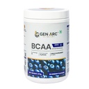 BCAA with Electrolytes BlueBerry Flavour | 2:1:1 BCAA Formula | Supports Muscle Recovery, Hydration & Workout Performance | Zero Sugar | 372g