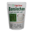 Iagrifarm Banslochan - 250 g/Vanslochan/Tabashir for Eating/Tabasheer/Vanshlochan