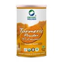 Organic Wellness 5% High-Curcumin Turmeric Powder 100 Gram Pack | Haldi Powder |