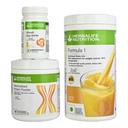 HERBALIFE NUTRITION HERBALIFE FORMULA 1 NUTRITIONAL SHAKE MIX- Mango