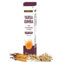 Yarsagumba (Kit-jadi) Capsules - 500mg X 2 Capsules (Pack of 01)