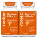 Rooted Active Naturals Organic Cordyceps Militaris Mushroom Extract Capsules, 500mg, 60 Count, Energy, Endurance, Performance (Pack of 2)