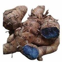 GABHISMEEN Kali Haldi Or Black Turmeric Or Narkachur Or Narkachoor Raw And Natural (50 Gram)
