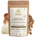 Rooted Active Organic Active Hexose Correlated Compound Powder | Immune Support Supplement | Mushroom-Derived Extract | 100% Natural, Vegan, Lab-Tested Immunity Booster (45 Grams)