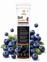 HarGharShudhi Gut Shudhi Effervescent Probiotic+Prebiotic Tablets | 25 Billion CFU, 9 Strains + Prebiotic Fibre | Sugar Free Gut Health & Digestion Support | Blueberry Mojito Flavour | 15 Tablets