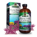 Nature's Answer Marine Based Calcium Magnesium, Vanilla Cream, 16-Ounce | Natural Immune Support | Säilitab terved luud | Edendada südame tervist | Lihasfunktsiooni tugi