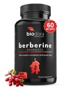 Berberine Advanced Plus koos 1200mg Berberine - 100mg Ceyloni kaneel ja 100mg Rohelise Tee ekstrakt - 1400mg annuse kohta - 120 kapslit - 60 päeva pakkumine - toetab immuunsüsteemi ja südame-veresoonkonna