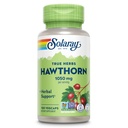 SOLARAY Hawthorn Berry kapslid 1050 mg - rahustav taimne tugi - Hawthorne Berry toidulisand üldise heaolu toetamiseks - Terve Berry, Vegan, Non-GMO, 60 päeva garantii, 50 Servings, 100 VegCaps