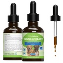 Pet Wellbeing Young at Heart for Dogs - Heart Health, tsirkulatsiooni ja südame-veresoonkonna süsteem, Hawthorn, Motherwort, Schisandra - Veterinaar-Formulated Taimne täiendus 2 fl oz (59 ml)