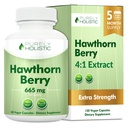 Puhtalt holistiline Hawthorn Berry - 150 Vegan kapslit - 5 kuu pakkumine - kõrge tugevus 4: 1 ekstrakt - Non-GMO Hawthorne täiendus - toetab südame-veresoonkonna ja seedetrakti tervist