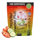 PowderVitamin Electrolytes Powder Plus (100 Servings) Maasikas Kurgi elektrolüüt Pulber Nullkalor Keto,0Sugar, No Maltodekstriin,1000mg Kaalium,120mg Kaltsium,120mg Magneesium, Hüdropulber