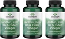 Swanson Lecithin Kelp B-6 & Siider Äädikas 240 Tabs (3 Pack)