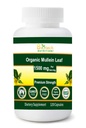 Orgaaniline Mullein Leaf 1500 mg Ameerika Ühendriikides valmistatud 120 köögiviljakapslit