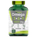 tnvitamins Triple Omega 3◆ 6◆ 9: 3600mg x 120 Softgels | Omega olulised rasvhapped kalaõlist (EPA & DHA), linaseemnetest (ALA & LA) ja oliiviõlist (OA) | Naiste ja meeste täiendus | Mitte-GMO