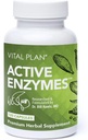 Vital Plan Active Enzymes Supplement by Dr. Bill Rawls - seedetrakti ensüümid soolestiku tervise ja seedimise jaoks - proteaas, bromelain, laktaas, amülaas ja lipaas (120 kapslit)