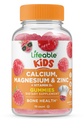 Elukõlblikud lapsed Kaltsium Magneesium Tsink Gummies | Kaltsium D3-vitamiiniga | Suurepärased kaltsiumilisandid lastele | Kaltsiumkummid luude terviseks | 90 Gummies
