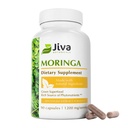 Jiva Botanicals Moringa Leaves Extract Kapslid - valmistatud Moringa Leafi pulbrist ja Oleifera lisandist immuunsuse ja normaalse liigese toetamiseks - 90 kapslit (pakk 1)