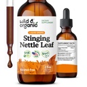 Wild & Organic Stinginging Nettle Leaf Extract tilgad - Kuseteede tugi - Vedelik nõel Nõges Täiendus - Urtica Dioica Tinktuur - 2-kuuline pakkumine - Vegan, suhkur & alkoholivaba - 2 fl oz