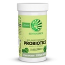 Sunwarrior Probiootikumid Mullapõhised Vegankapslid | 10 miljardit CFU seedimiseks Sojavaba Gluteenivaba Piimavaba | 30 CT