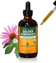 Herb Pharm Certified Organic Golden Echinacea Vedelik Ekstrakt immuunsüsteemi toetuseks - 4 Ounce