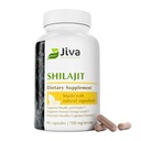 Jiva Botanicals Shilajit Capsules 700 mg – Shilajit Extract with Fulvic Acid – Shilajit Supplement for Men & Women – 90 Vegan Capsules for Daily Wellness – 90 Count (Pack of 1)