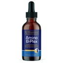 Rx Vitamiinid Amino B Plex Cat & Dog Supplement - Vitamiin B Kompleks Vedel Plus Aminohapped koertele ja kassidele - Söögiisuvõimendaja ja kaalutõus Kass ja koer Vitamiinid - 2 oz