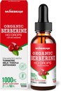 Orgaaniline Berberine HCl 1000mg Vedelad tilgad - koos Ceylon Cinnamon Turmeric Milk Thistle artišokk - kõrge biosaadavuse täiendus meestele naistele - Vegan Sugar Free Gluten Free 2fl. oz (60ml)