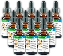 Morter Trace Mineraalid kolloidsuspensioonis (12 Pack) Morter HealthSystem Parim protsessi leeliseline - toitainete tihe jälje elemendid, Fulvic Minerals & Aminohapped