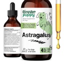 Igavene kutsikas Astragalus Juur tilgad koertele - Astragalus Membranaceus Väljavõte koerte immuunsuse toetamiseks - Taimsed lemmikloomad Vedelad toidulisandid immuunsuse ja rõõmsa lemmiklooma hooldamiseks - 4 oz
