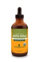 Herb Pharm Sertifitseeritud Orgaaniline Gotu Kola Vedelik Ekstrakt Lihas-skeleti süsteemi toetuseks - 4 Ounce