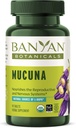 Banyan Botanicals Mucuna Pruriens - Orgaaniline Taimne Tablett - Energiat, toetab tervislikke närvi- ja reproduktiivsüsteeme * - L-Dopa looduslik allikas - 90 tabletti - mitte-GMO jätkusuutlikult hangitud vegan