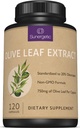 Premium Olive Leaf Extract Kapslid - Standarditud 20% Oleuropein - Super Tugevus Olive Leaf Täpne täiendus toetab immuunsüsteemi ja südame-veresoonkonna tervist - 750 mg kapsli kohta - 120 kapslit