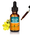 Herb Pharm sertifitseeritud orgaaniline Mullein Blend Vedel Ekstrakt hingamissüsteemi toetuseks - 1 Ounce
