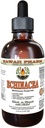 Echinacea Alkoholivaba vedelik ekstrakt, orgaaniline Echinacea (Echinacea Purpurea) Kuivatatud ürdi Glycerite Hawaii Pharm Looduslik Taimne täiendus 4 oz