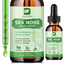 Sea Moss Vedelik tilgad - Orgaaniline Iiri Sea Moss Gel Spirulina, Põiewrack, Burdock Root, Seamoss Gel Supplement for Joint, Detox Cleanse & Seedimise Toetus - 2 Fl Oz, Vegan
