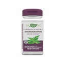 Nature's Way Premium Extract Andrographis , Immune Support * , 300 mg andrograafia ekstrakt portsjoni kohta , 60 kapslit