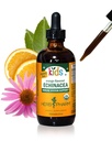 Herb Pharm Kids Certified-Organic Alcohol-Free Echinacea Glycerite Vedel Ekstrakt, 4 oz