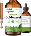 Wild & Organic Goldenseal Tincture - Lung & Digestive Support - Goldenseal Root Extract Liquid Drops - Vegan, Sugar & Alcohol-Free Herb Supplement - 4 fl oz