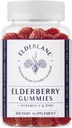 Elderlane Elderberry Gummies täiskasvanutele ja lastele - Immuunsüsteemi tugi - mitte-GMO, vegan, gluteenivaba, želatiinivaba - 60ct, 100mg
