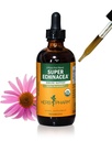 Herb Pharm Sertifitseeritud Orgaaniline Super Echinacea Vedel Ekstrakt Aktiivse immuunsüsteemi toetuseks - 4 Oz