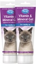 PetAg Vitamiin & Mineral Gel Supplement kassidele - 3,5 oz, Pack of 2 - pakub põhilisi igapäevaseid vitamiine ja mineraale kassidele 4 kuud ja vanemad - lihtne seedida