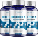 Urolithin A Supplement 2000 mg - 360 Capsules Powerful Antioxidant Protection, Promoting Healthy Aging & Mitochondrial Health and Cell Repair Support for Men & Women