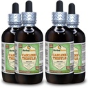 Karliinohakas (Carlina acaulis) Glycerite, kuivatatud juured Alkoholivaba vedelik ekstrakt (Brand Name: HerbalTerra, Proudly Made in USA) 4x4 fl.oz (4x120 ml)